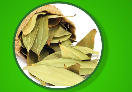 Bay leaves